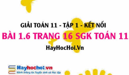 Giải bài 1.6 trang 16 Toán 11 tập 1 SGK Kết nối tri thức